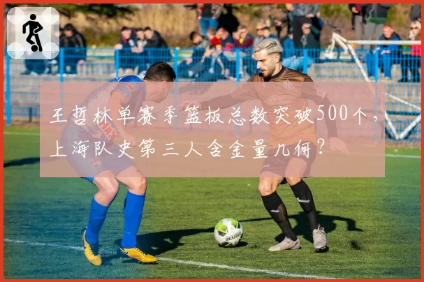 王哲林单赛季篮板总数突破500个,上海队史第三人含金量几何?
